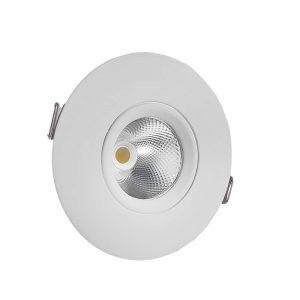 removable ceiling light-indoor (1)